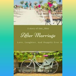 Novel after marriage pdf