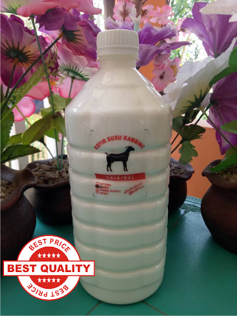 Kefir Bandung