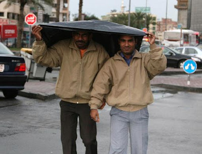 Rain Lashes UAE