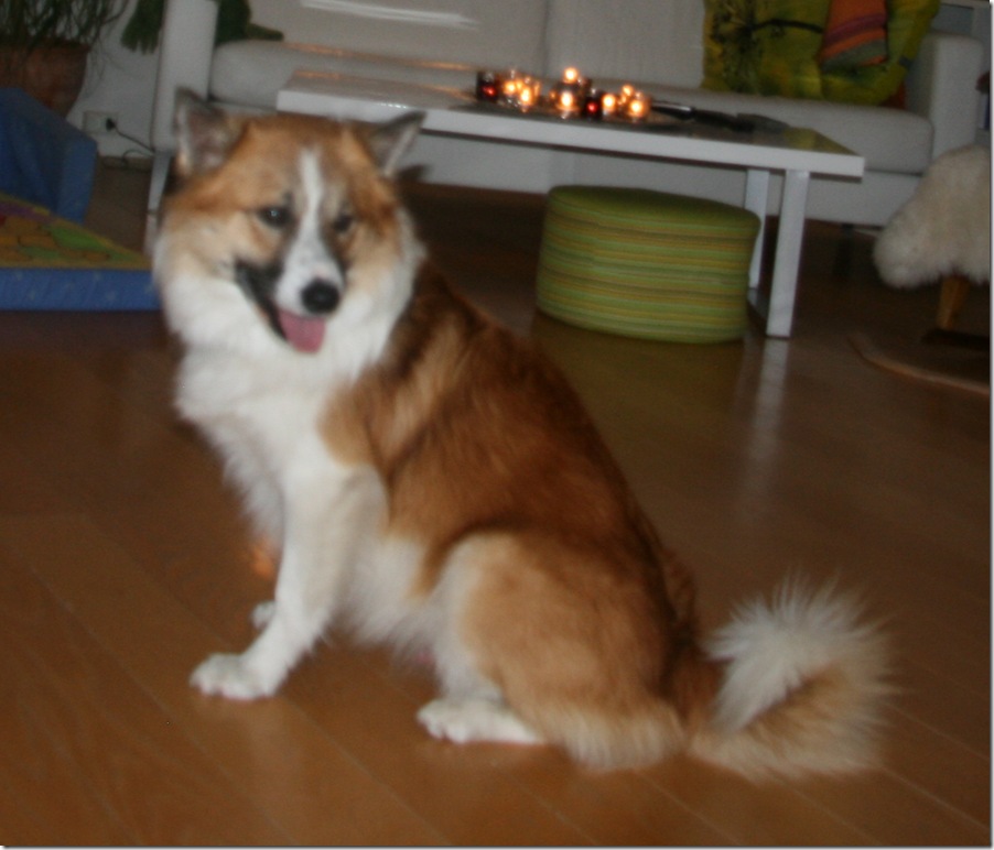 20101114_7907-1