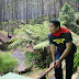 Sekilas Taman Hutan Raya Ir. H. Djuanda, Lembang - Bandung