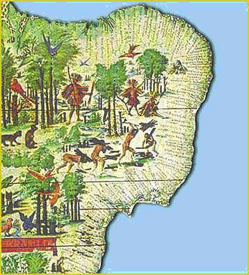 Resultado de imagem para mapa brasil pau-brasil