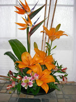 Birds Of Paradise Arrangements