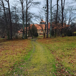 reisen, Tagesausflug, Natur, Erlebnis, Landschaft, Bäume, Park