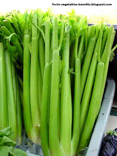 benefits _of_juicing_celery_fruits-vegetables_benefitsblogspot.com(6)