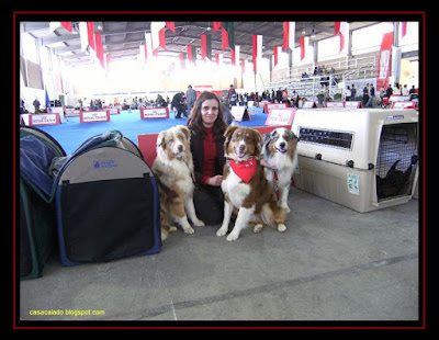 Dog Show Vila Franca de Xira