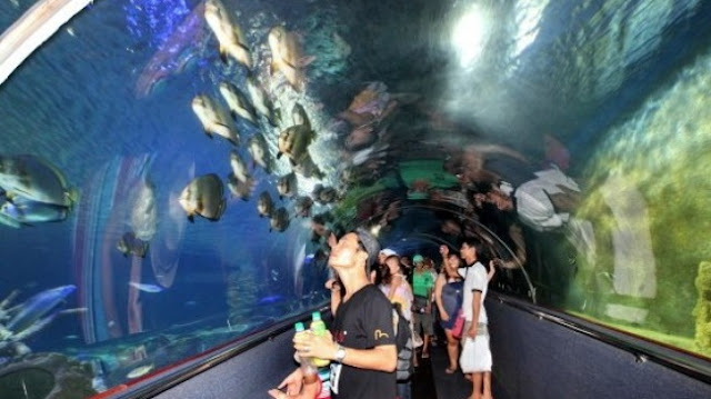 Oceanographic Museum of Vietnam