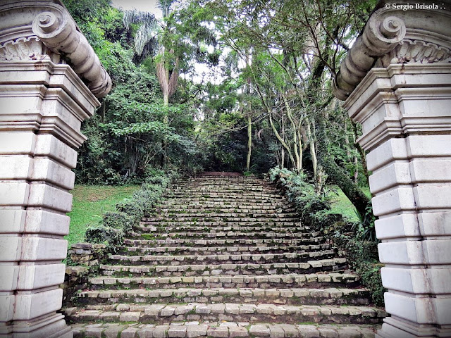 Vista frontal das Escadarias Jardim de Lineu no Jardim Botânico