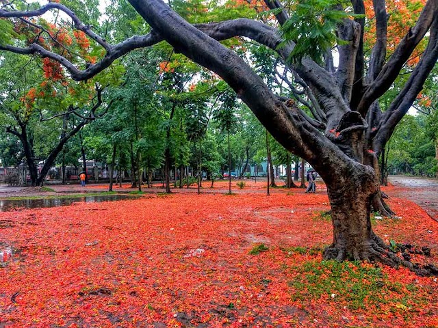 স্মরণার্থ - কবিতা