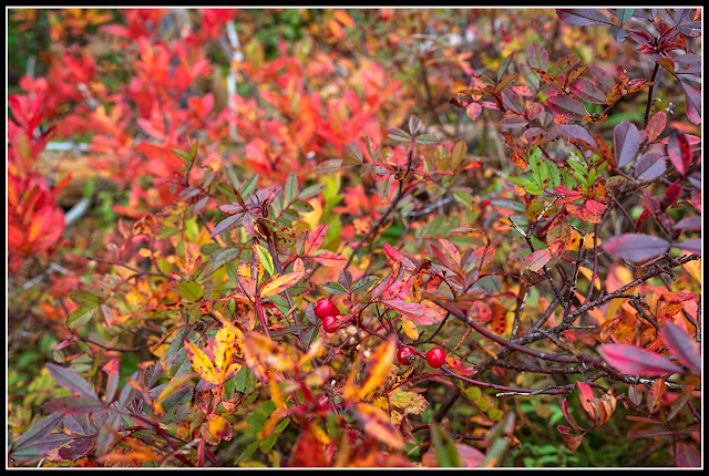 Green Bay; Nova Scotia