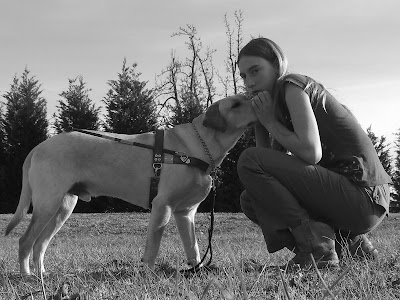 Black/white picture of Toby in harness, in a stand-stay. I'm kneeling down in front of him - and he's trying to touch my face 