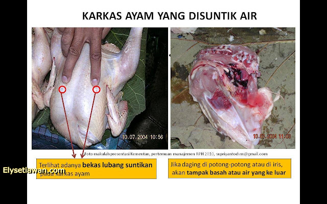 karkas ayam glonggongan yang disuntik air