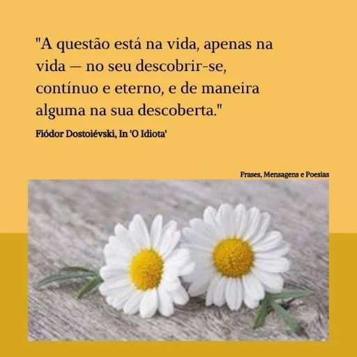 Frase do Livro O Idiota