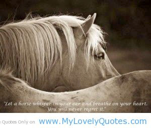 Horse Quotes