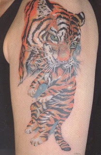 Tatuagens tigre deixando o braço