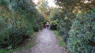 Croome+Park+Lakeside+Garden