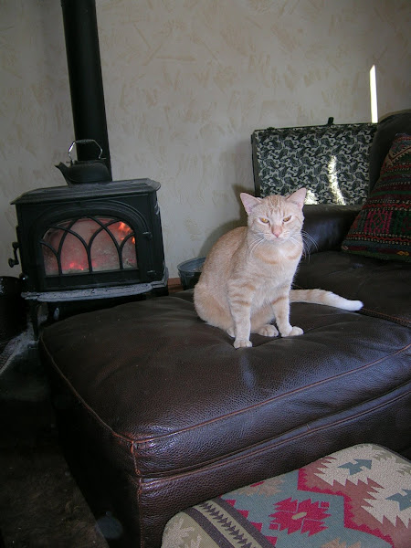 Max & the woodburning stove...