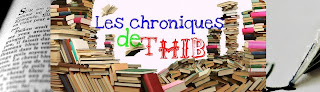 Chroniques de Thib