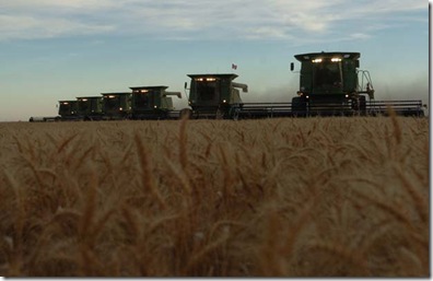 hutteriteharvest090307-5.JPG