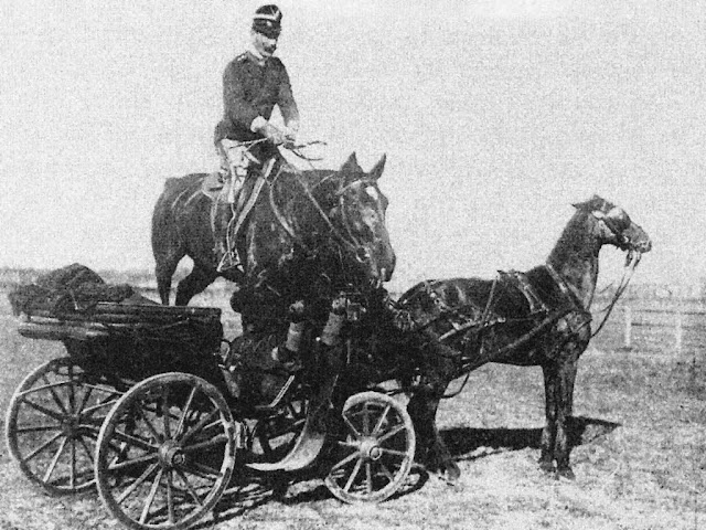 Federico Caprilli salta una carrozza