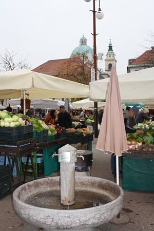 IMG_8846