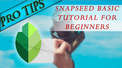 Snapseed basics tutorial for beginners 2021