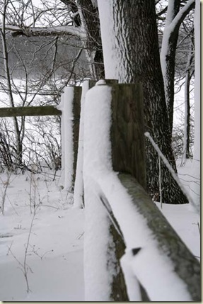 fence
