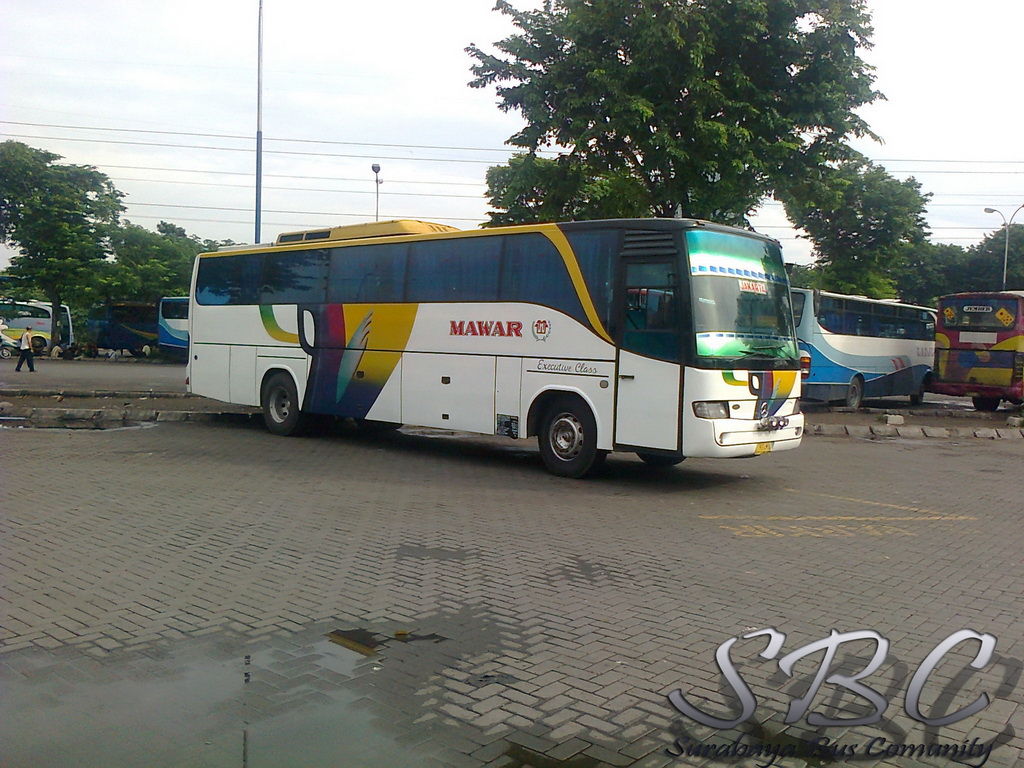 Surabaya Bus  Comunity Mawar  Boemel