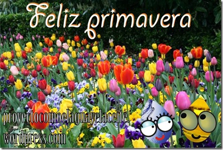 .com/img/b/R29vZ2xl/AVvXsEhPRt8JimzvCTskvBMFbPHmOHIeAnc7w6H6onvNGE7i5F8_LTVJA-uIDL4vsWKG6qeOxldYamX7Sp83B9qQh1I5zDCtCVtgojMmBk5notZH-d08Bc0erNHeG3lKqQg3CtuzOxPJ2qeGbWXR/ .com/img/b/R29vZ2xl/AVvXsEhPRt8JimzvCTskvBMFbPHmOHIeAnc7w6H6onvNGE7i5F8_LTVJA-uIDL4vsWKG6qeOxldYamX7Sp83B9qQh1I5zDCtCVtgojMmBk5notZH-d08Bc0erNHeG3lKqQg3CtuzOxPJ2qeGbWXR/