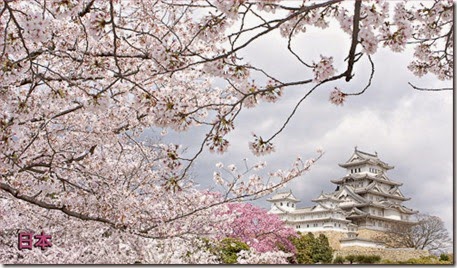 vinyl-magnet-japan-sakura-himeji-castle