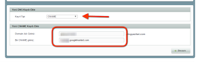 blogger dns ayarları
