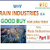 Why Rain Industries is a good buy for long term?