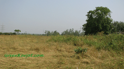 agricultural land for sale