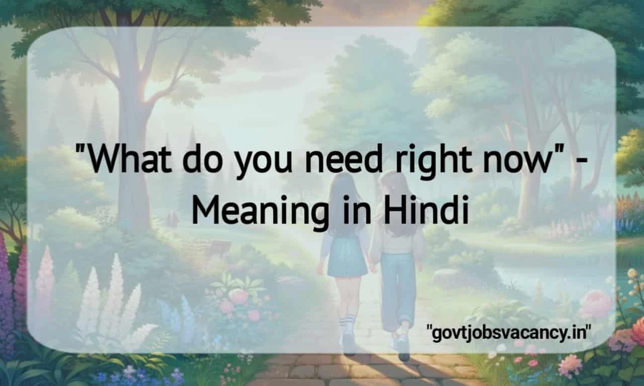 What do you need right now Meaning in Hindi