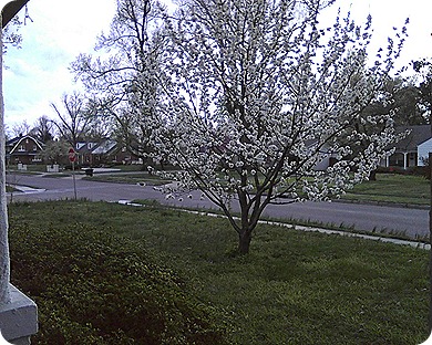 Photo03201813