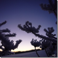 Eis © H. Brune