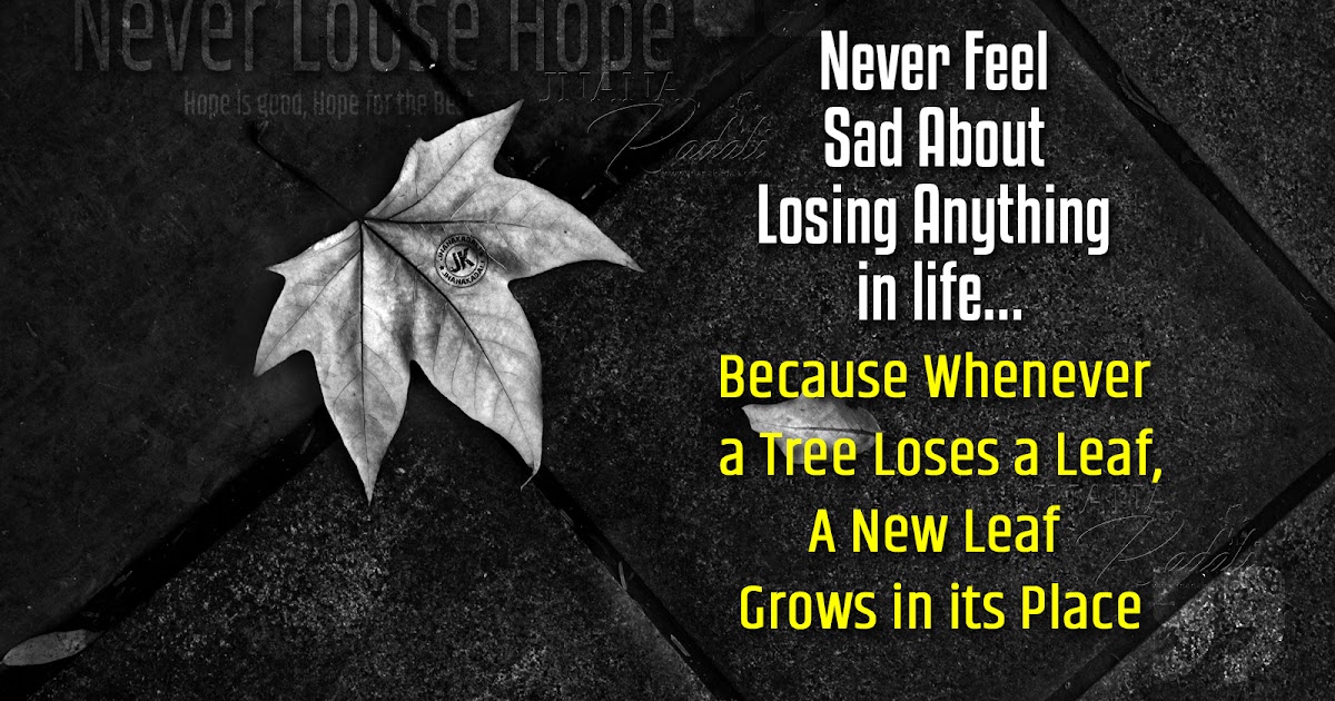 Never Loose Hope in Your life Quotes in English 