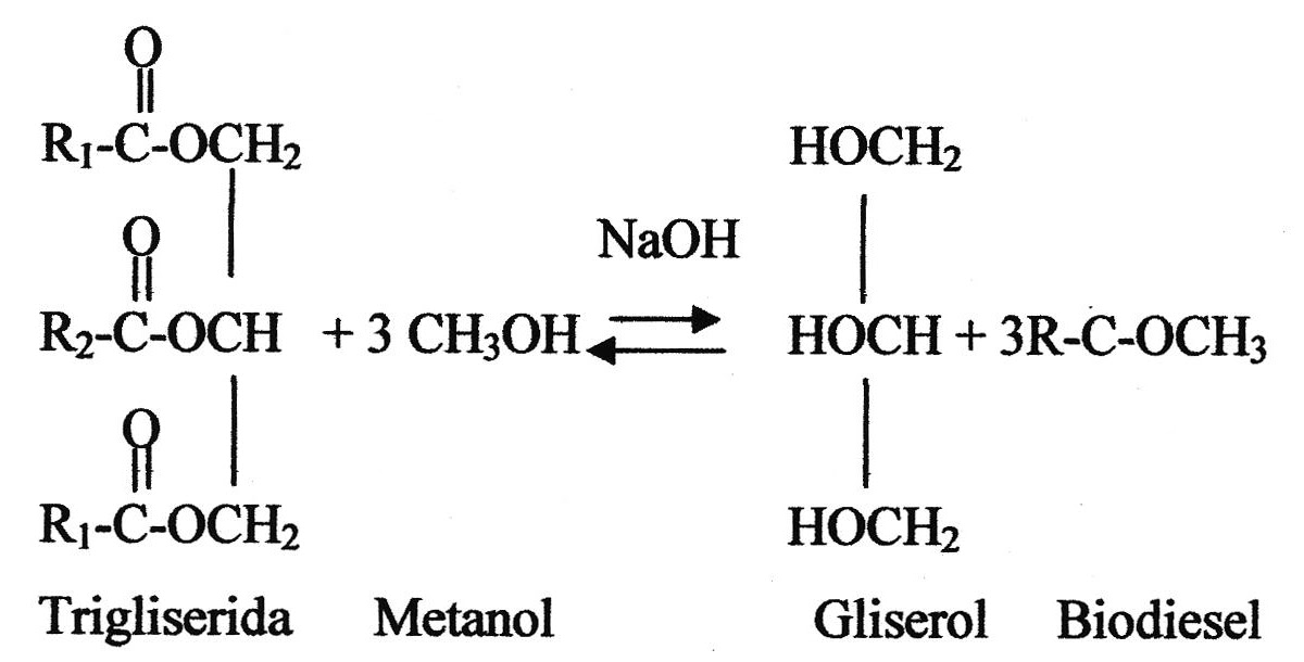 Transesterifikasi Pembentukan Biodiesel GENIUS SIREGAR 