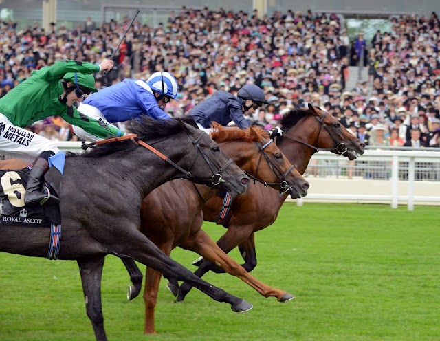 Report #RoyalAscot: Declaration Of War di forza nelle Queen Anne, Sole Power all'ultimo tuffo nelle King's Stand. Dawn Approach torna ed in lotta risolve nelle St James's Palace Stakes, battuto Toronado di una corta testa. Nelle Coventry War Command