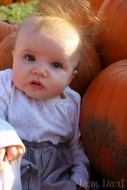 Pumpkin Patch Baby Julia