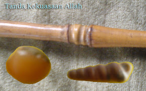 Bisa dipinjamkan kepada yang membutuhkan : Penjalin Petuk dan mustika sempama bungkem