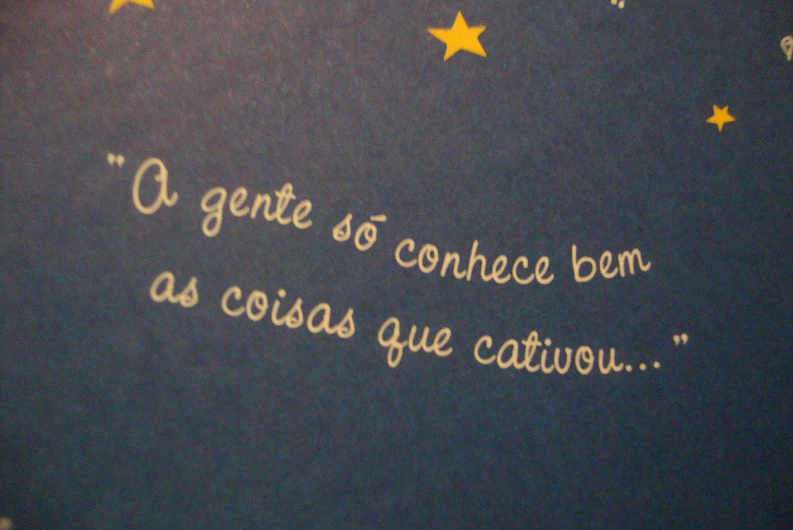 Na capa Olha as folhas vem até um espa§o para vocª colocar suas frases