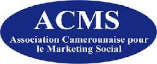 ACMS recrute 05 Consultants financiers