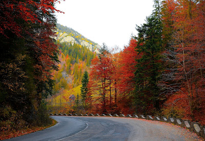  A drive during the fall season