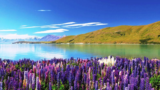 Lake Tekapo Tourism, New Zealand