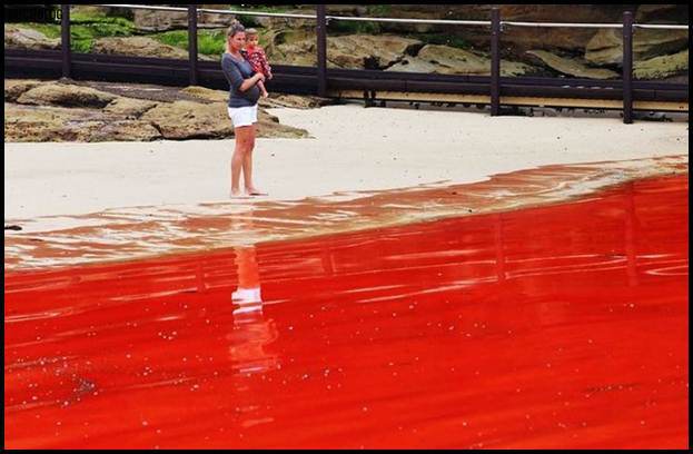  Mengapa warna air laut di Maluku Tengah berubah merah darah