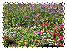 clip_image004