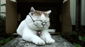 18. Although sometimes I think you're smart .