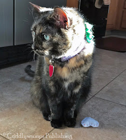 Real Cat Paisley with toy heart