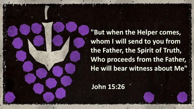 💖 HOMILY - MAY 17 💖